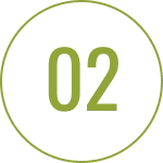 Green number 02 inside a black circle.